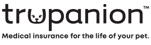 A green banner with the word " loan " written in black.