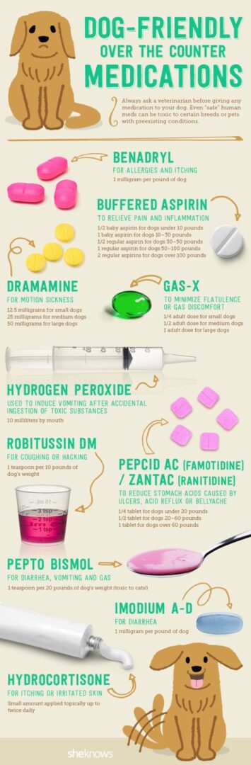 A bunch of different types of drugs and their uses.